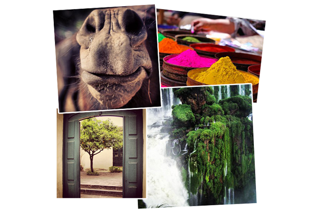 Best-Instagram-Photos