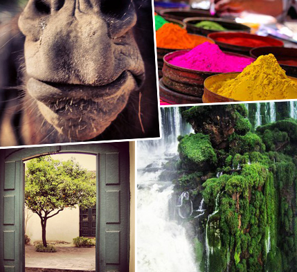 Best-Instagram-Photos