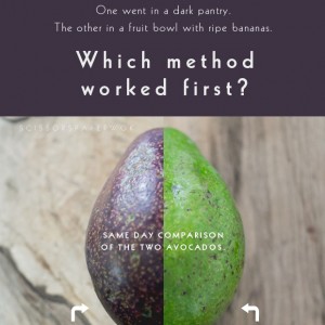 Is putting avocados with bananas really the best way to ripen them? Read this.